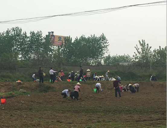 J9游戏(中国)-官方网站