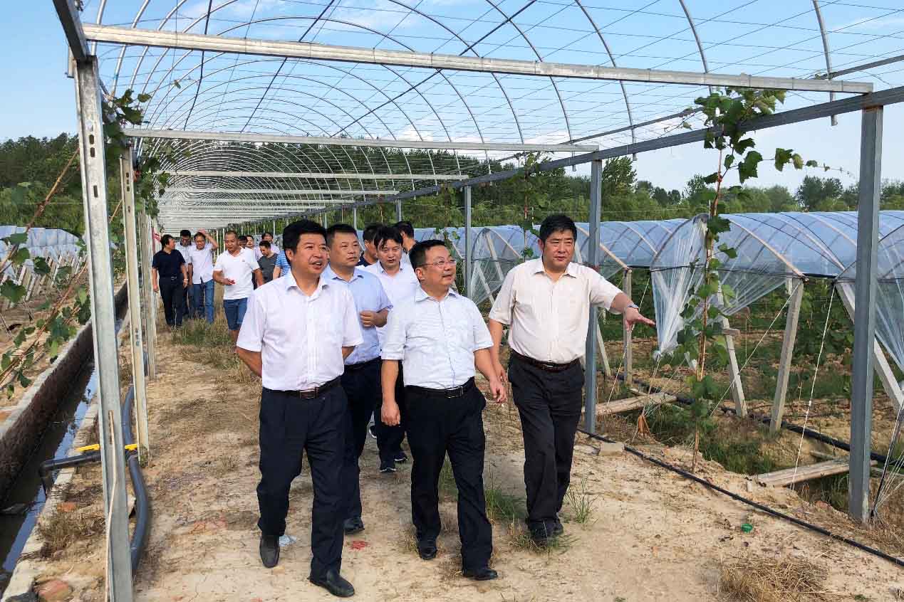 J9游戏(中国)-官方网站