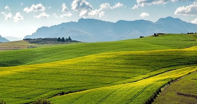 J9游戏(中国)-官方网站